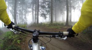 bike forest